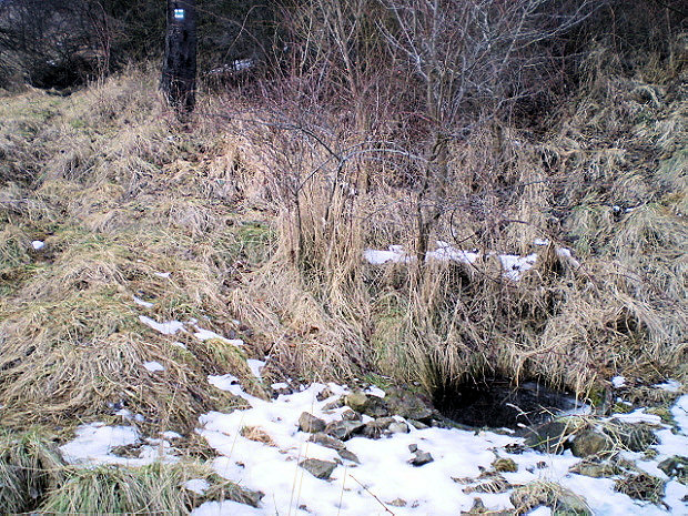 studánka bez jména (877) - leden 2009