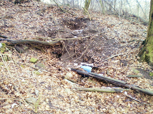studánka bez jména (882) - leden 2009