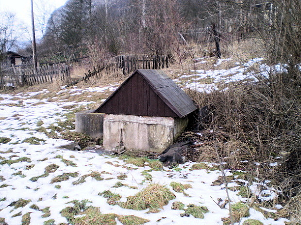 studánka bez jména (883) - leden 2009