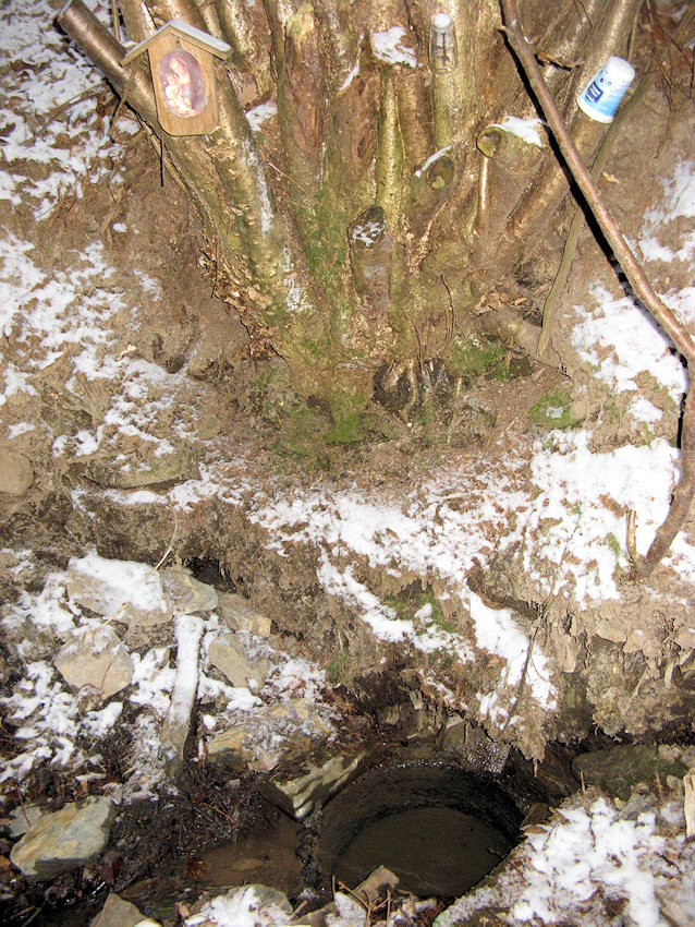 studánka bez jména (896) - únor 2009