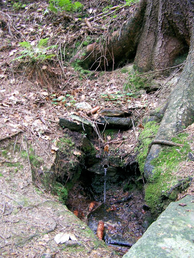 studánka U Vodárny (913) - únor 2009