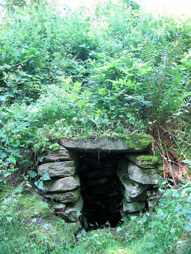 studánka Pod Chalupami (921) - únor 2009
