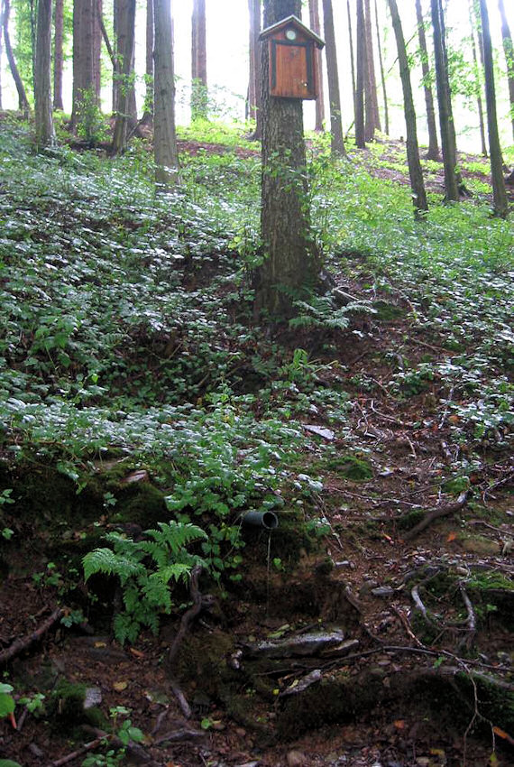 studánka U Koroužného (923) - únor 2009