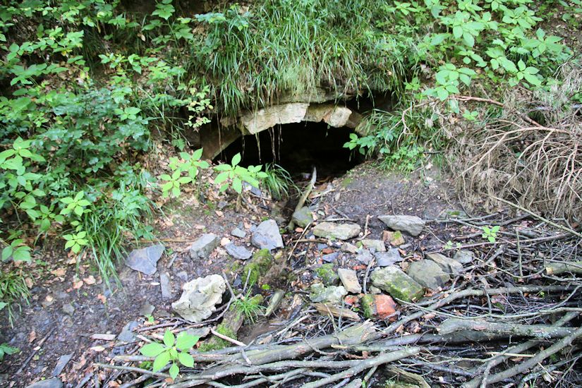 studánka U Kadlcova mlýna (932) - datum neznámé