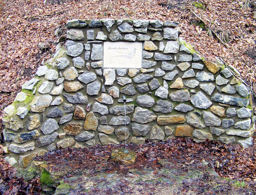 studánka U Kalicha (Bažantí) (933) - datum neznámé