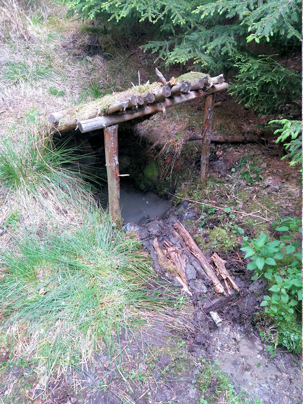 studánka U Víška (944) - květen 2019