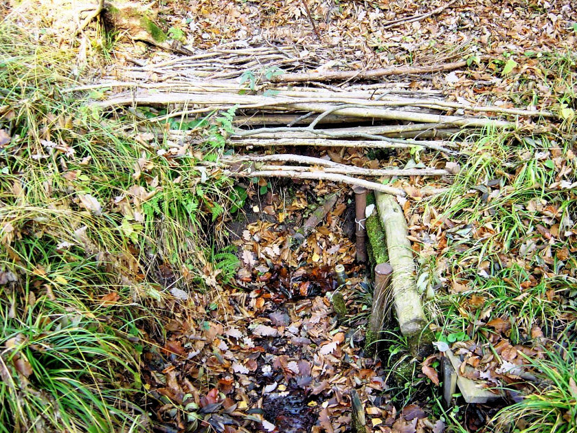 studánka Na Rokli (983) - datum neznámé