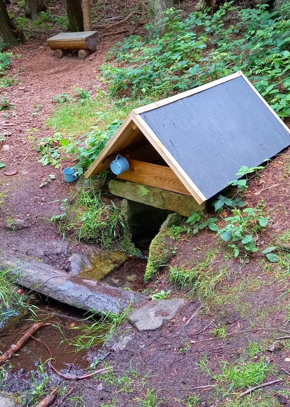 studánka Pod Jelení skálou (991) - červen 2024