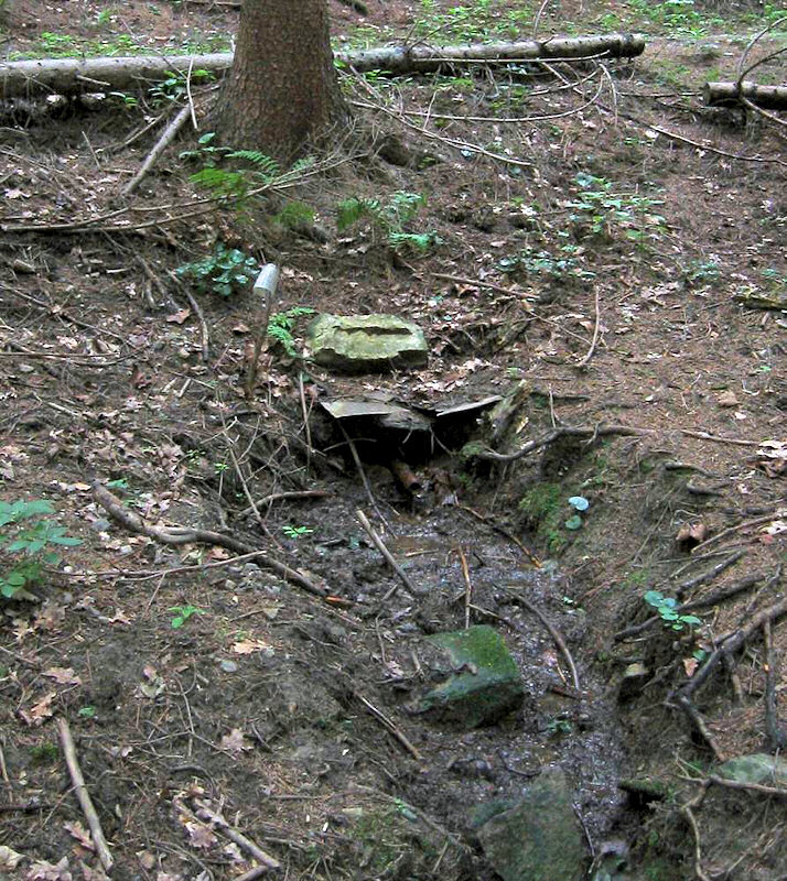 studánka bez jména (994) - únor 2009