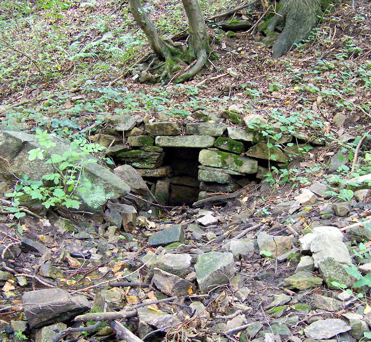 studánka U Chlébského (998) - únor 2009