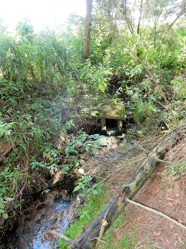 studánka Černý potok (13518) - září 2020