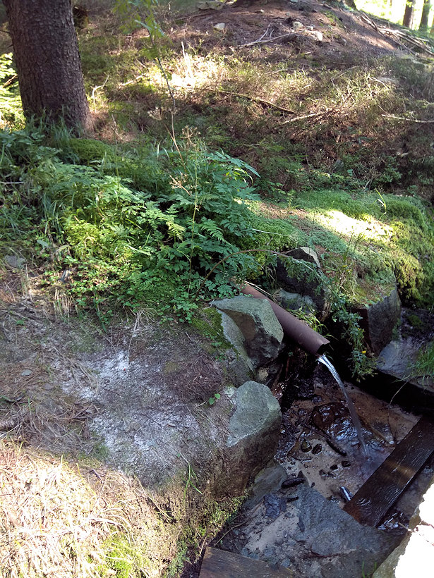 studánka Za Františkovou chatou (13538) - září 2020