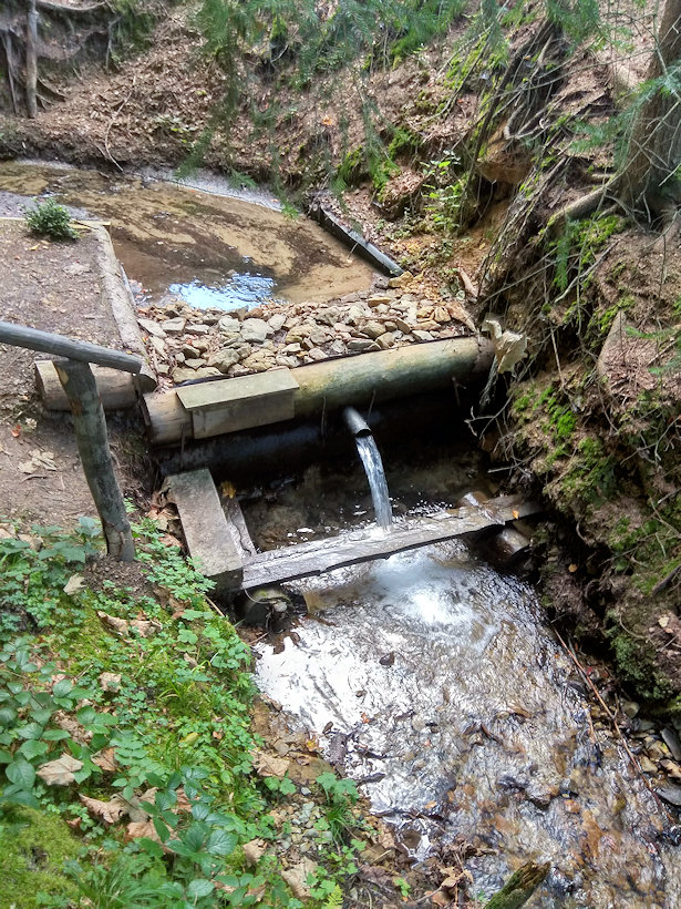 studánka Svobodná obec (13542) - září 2020