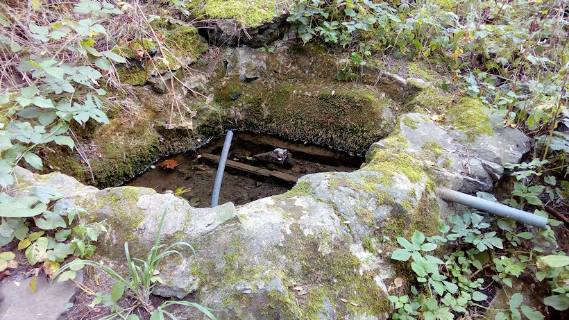 studánka bez jména (13552) - září 2020
