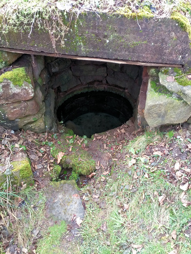 Litičská studánka (13556) - únor 2020