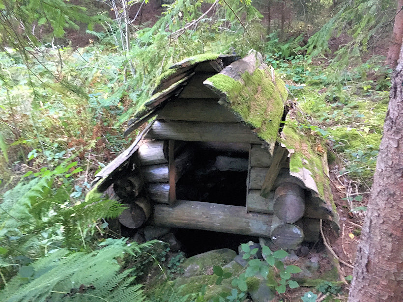 studánka Nad Vyskočilkou (13559) - září 2020
