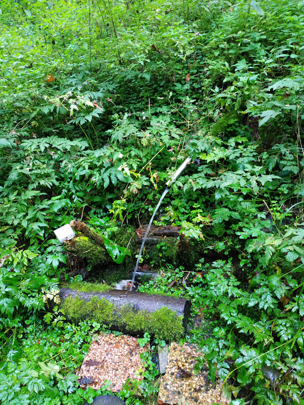 studánka V Korejtkách (13567) - září 2020