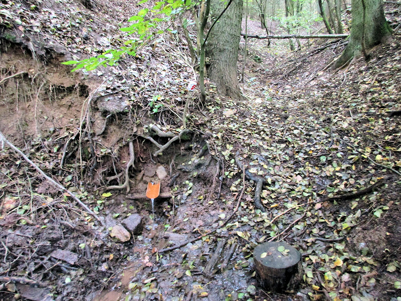 Adamova studánka (13570) - říjen 2020
