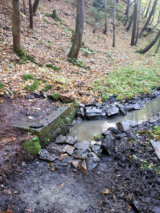 studánka František  (13575) - říjen 2020