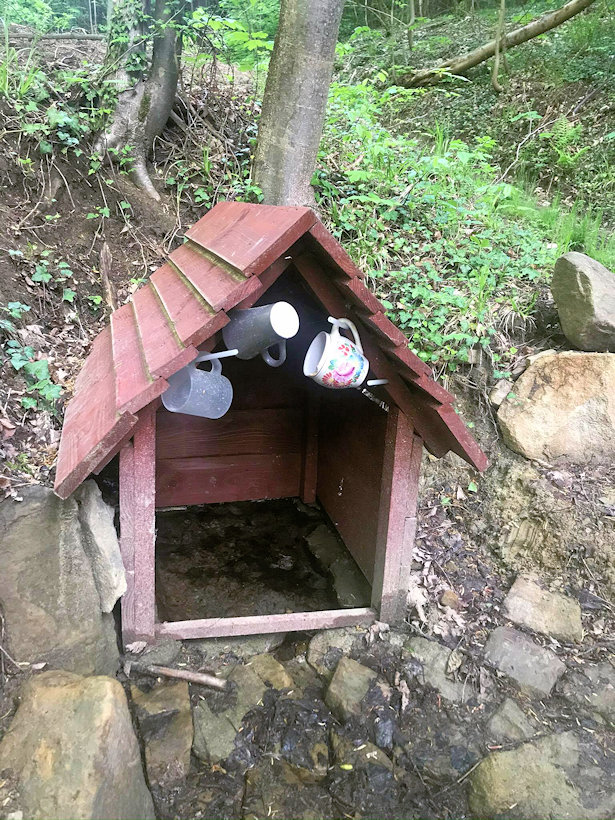 studánka bez jména (13592) - říjen 2020