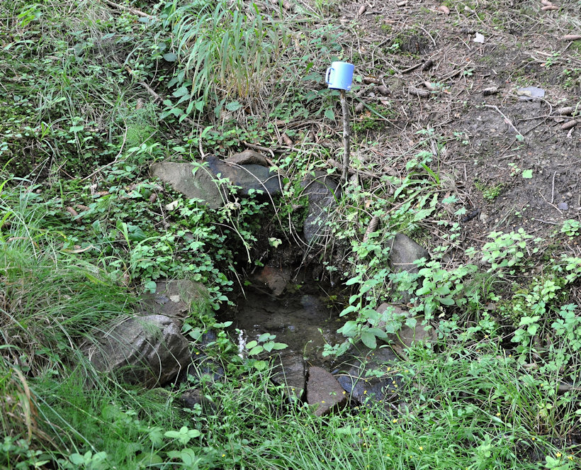studánka bez jména (13596) - srpen 2020