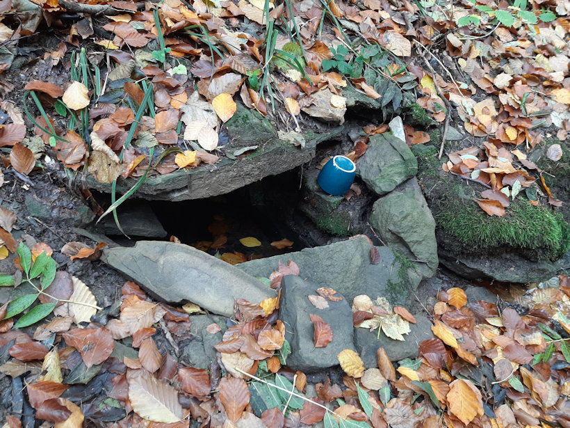 Maminčina studánka (13597) - listopad 2020