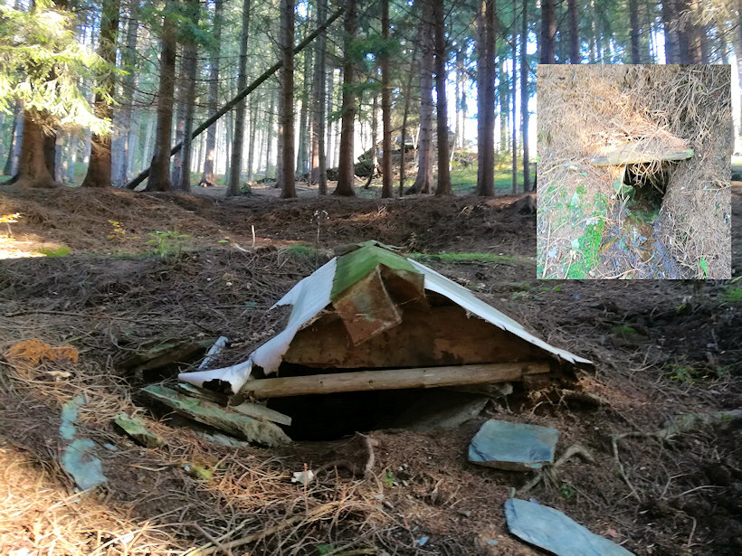 studánka Pod Veselkou (13598) - listopad 2020