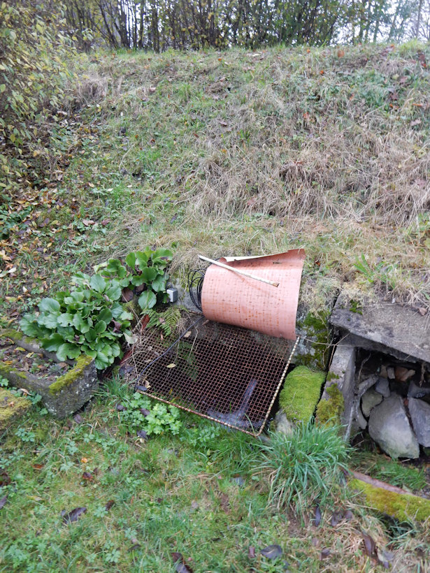 studánka Pod silnicí (13604) - listopad 2020