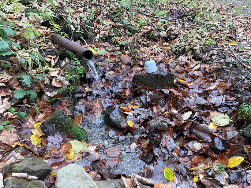 studánka bez jména (13614) - listopad 2020