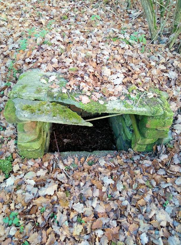 studánka Heritesův Dub (13622) - listopad 2020