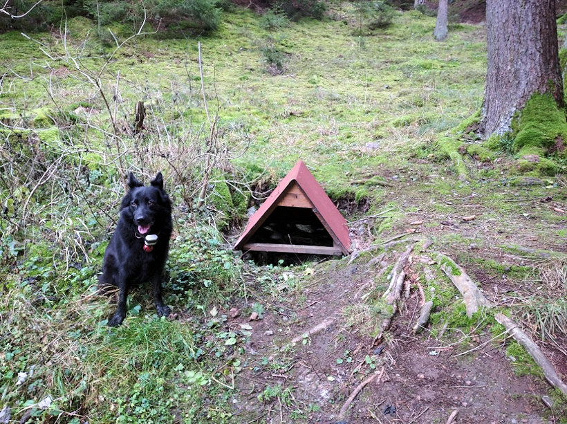 Hombrého studánka (13625) - listopad 2020