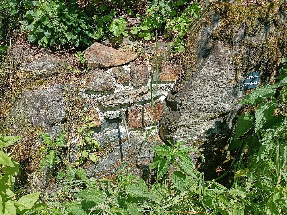 pramen Jenýsova studánka (13626) - srpen 2025