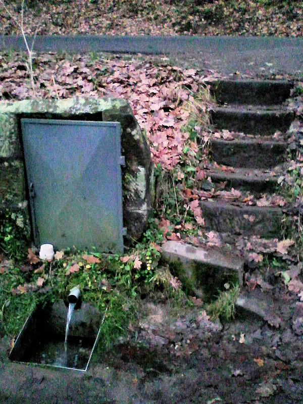 studánka bez jména (13629) - listopad 2020