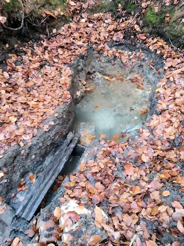 pramen Anenská studánka (13630) - prosinec 2020
