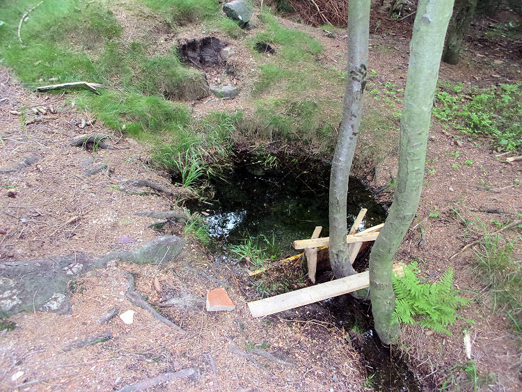 Jahodová studánka (13646) - květen 2020