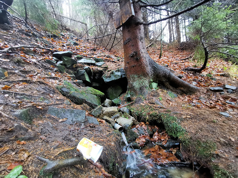 studánka Pešačka (13649) - prosinec 2020