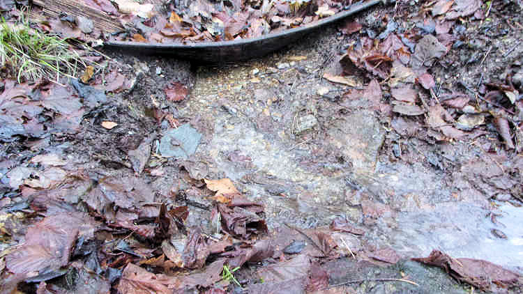 studánka Pod transformátorem (13659) - leden 2021