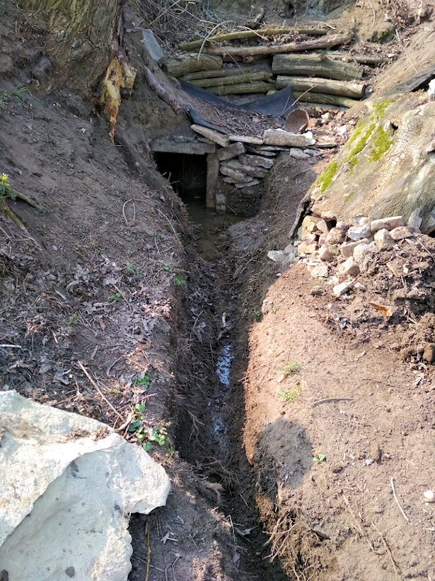 studánka U Hrobec (13663) - leden 2021