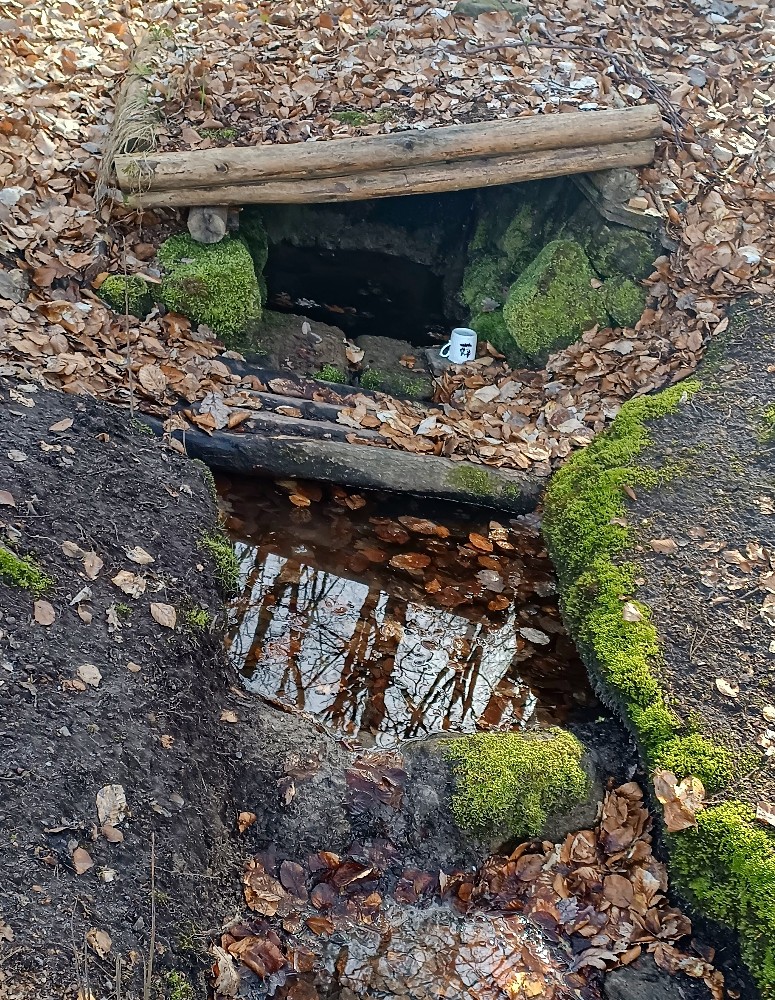 pramen Roverská studánka (13664) - březen 2024