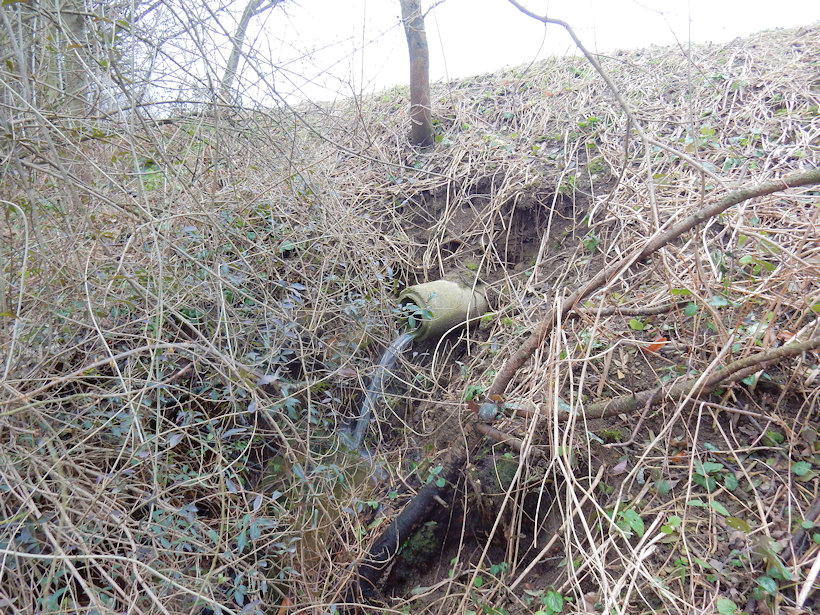 studánka Nad židovským hřbitovem 1 (13673) - leden 2021