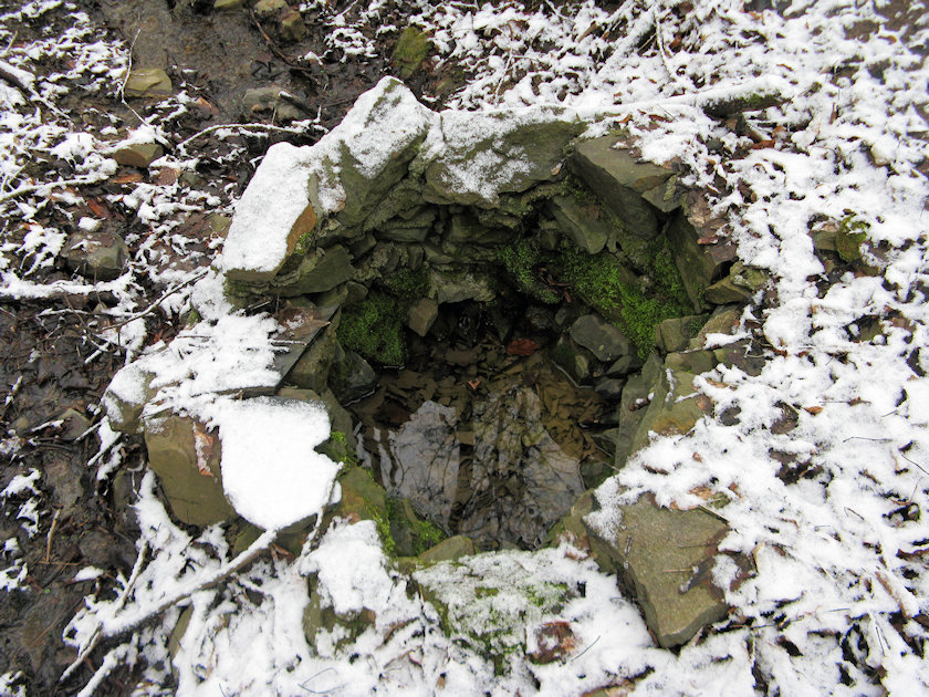 studánka bez jména (13685) - únor 2021