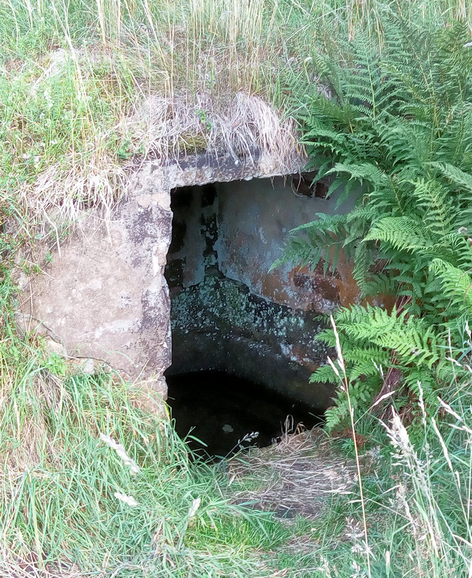 studánka bez jména (13688) - červenec 2018