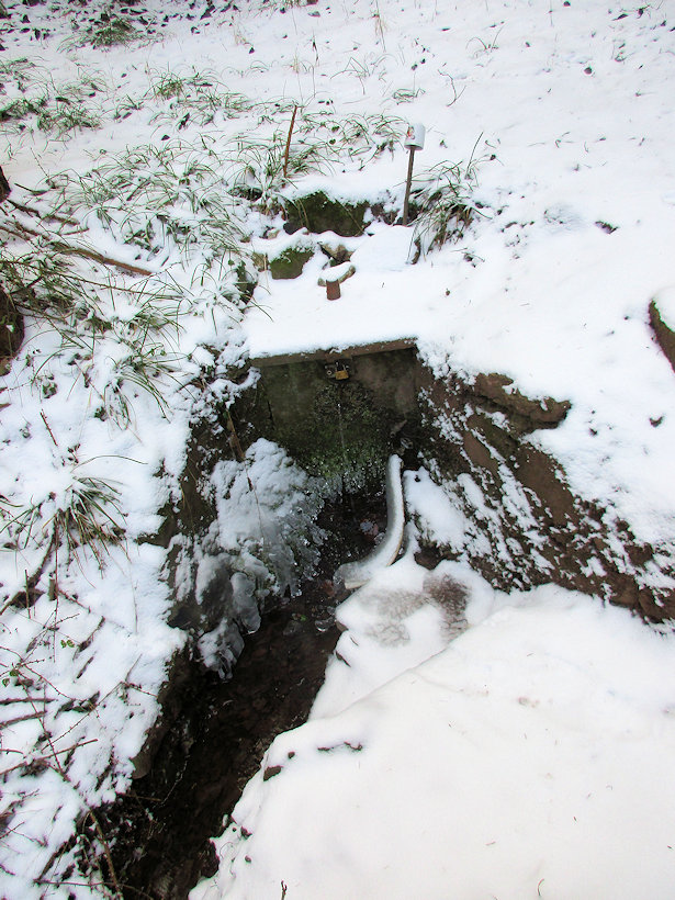 studánka bez jména (13689) - únor 2021