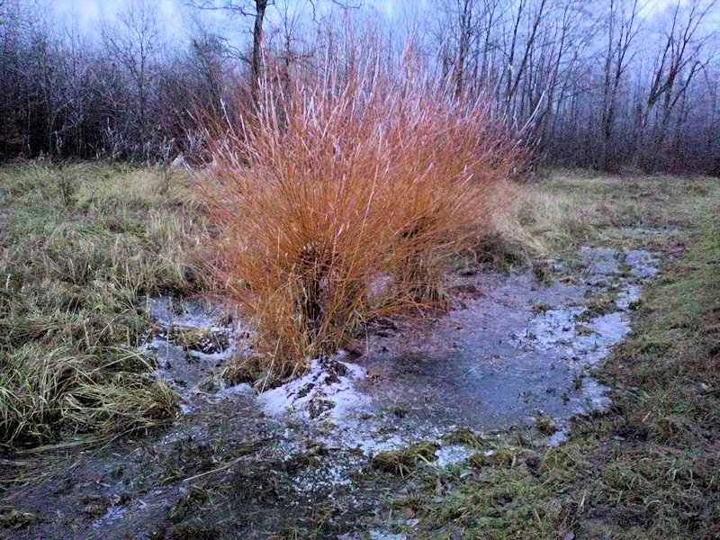 studánka bez jména (13695) - listopad 2020
