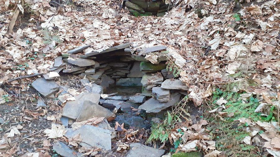 studánka bez jména (13706) - březen 2021