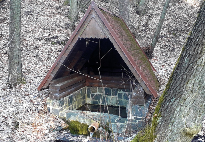 studánka bez jména (13711) - březen 2021