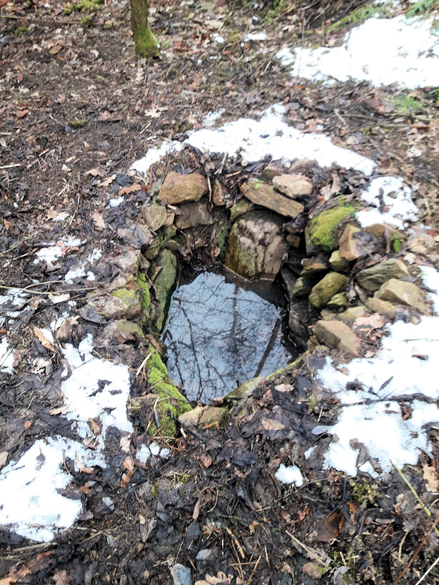 Čermákovická studánka (13726) - leden 2020