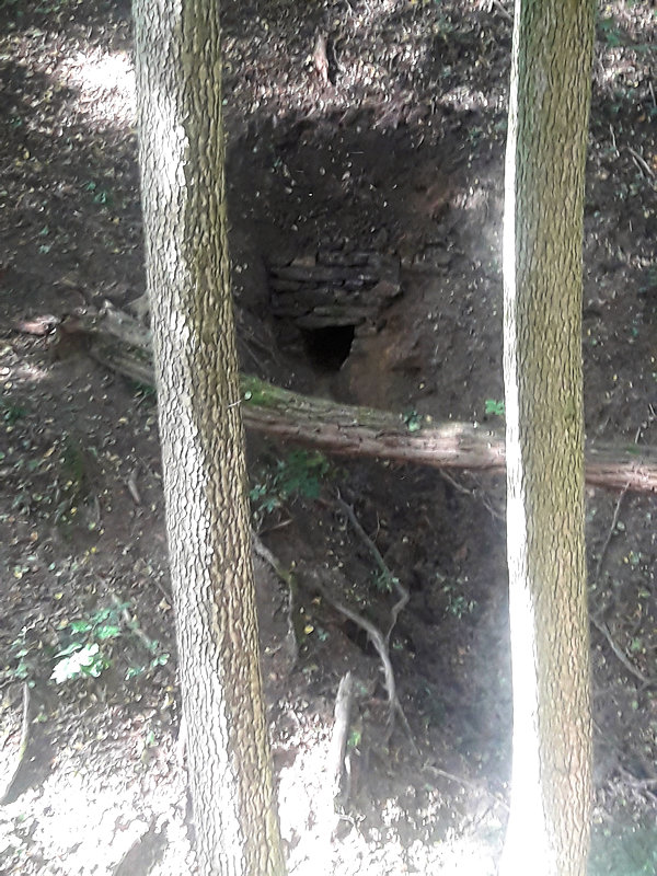 studánka Křepická (13727) - říjen 2020
