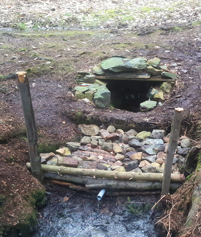 studánka Pramen Žilinského potoka (13743) - březen 2021