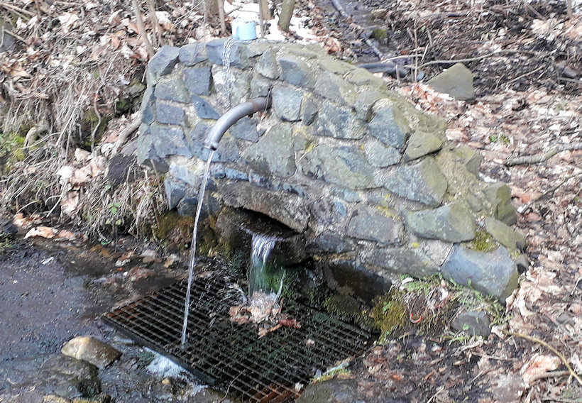 studánka Dřevce 3 (13757) - březen 2021